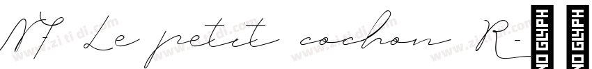NF Le petit cochon R字体转换